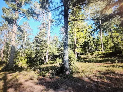 3380 W Us-hwy 63, Springbrook, WI 54875 photo 10