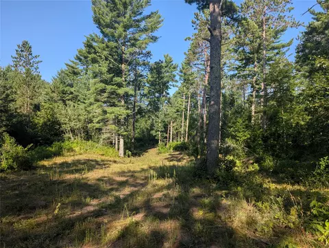3380 W Us-hwy 63, Springbrook, WI 54875 photo 6