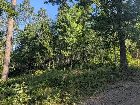 3380 W Us-hwy 63, Springbrook, WI 54875 photo 7