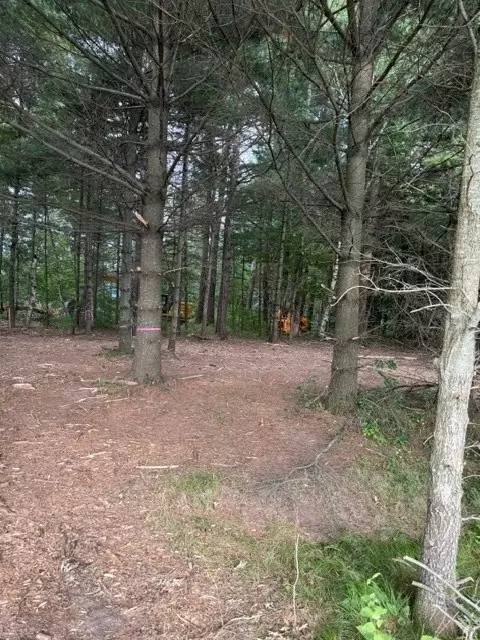 lot3 9 34 Ave, Chetek, WI 54728 photo 3