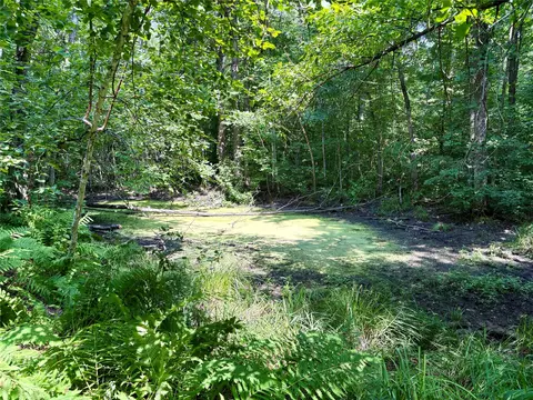 tbd 27th St, Chetek, WI 54728 photo 49