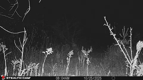 tbd 27th St, Chetek, WI 54728 photo 20