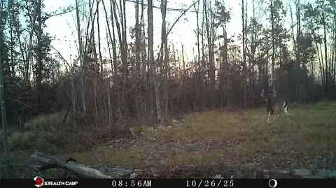 tbd 27th St, Chetek, WI 54728 photo 21