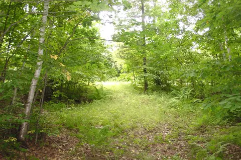 80 Acres On Bailey Rd, Bruce, WI 54819 photo 3