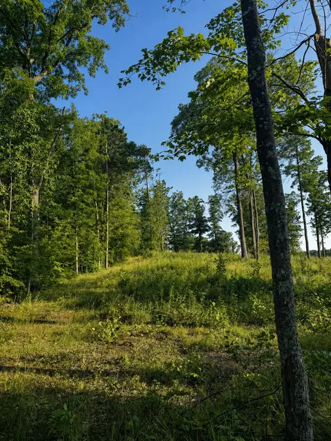 9211 N Tripp Rd, Springbrook, WI 54875 photo 22
