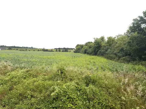 lot4 Van Tassel Rd, Osseo, WI 54758