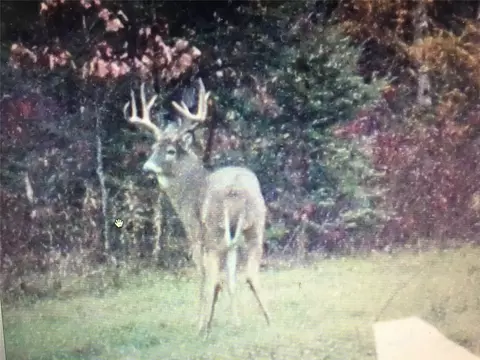 W15892 Old 14 Road, Weyerhaeuser, WI 54895 photo 24