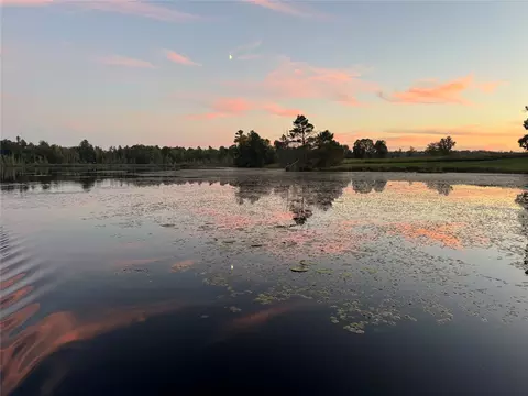W15892 Old 14 Road, Weyerhaeuser, WI 54895 photo 5
