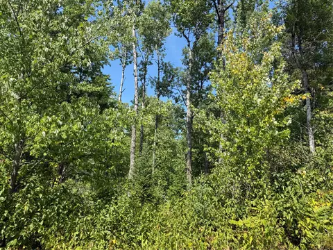 Other - lot38 39 Stone Pine Dr, Cable, WI 54821 photo 1 of 4