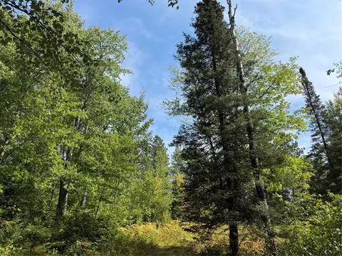 Exterior - lot38 39 Stone Pine Dr, Cable, WI 54821 photo 2 of 13
