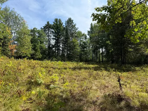 Exterior - lot38 39 Stone Pine Dr, Cable, WI 54821 photo 3 of 13
