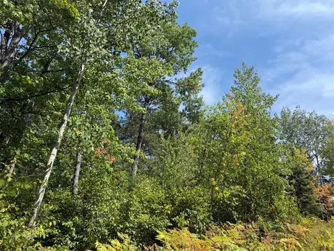 Exterior - lot38 39 Stone Pine Dr, Cable, WI 54821 photo 4 of 13