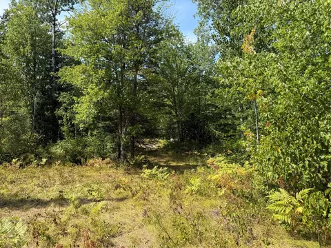 Exterior - lot38 39 Stone Pine Dr, Cable, WI 54821 photo 6 of 13