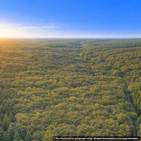 View/Area - tbd Carper Rd, Iola, WI 54945 photo 1 of 1