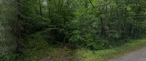 Other - tbd Carper Rd, Iola, WI 54945 photo 6 of 11