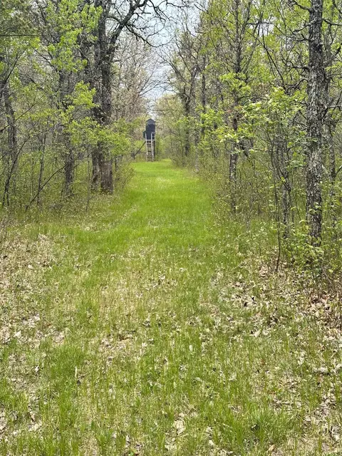 Nn 295th Ave, Cushing, WI 54006 photo 8