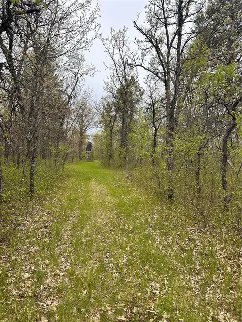 Nn 295th Ave, Cushing, WI 54006 photo 9