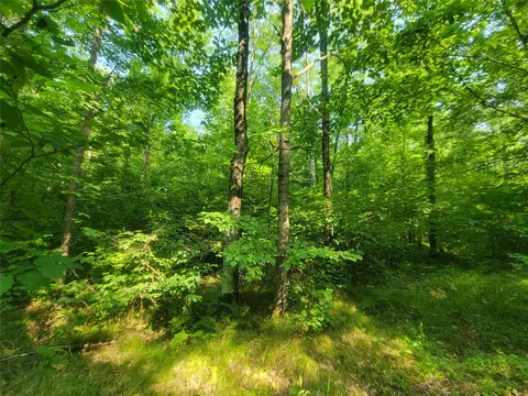 Exterior - w4427 Spring Road, Prentice, WI 54556 photo 11 of 11