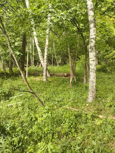 0 1130th, Colfax, WI 54730 photo 7