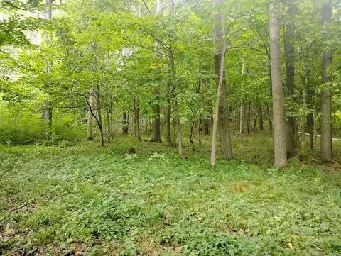 0 1130th, Colfax, WI 54730 photo 6