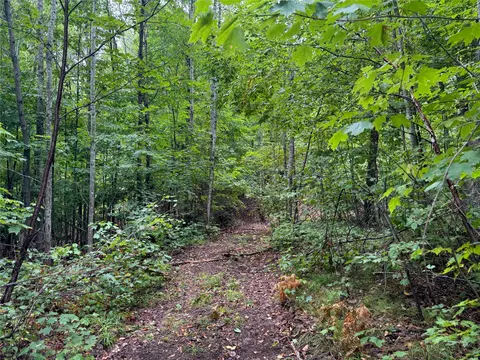 40 Acres On Fr 1769, Cable, WI 54821 photo 44