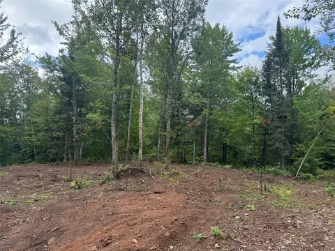 40 Acres On Fr 1769, Cable, WI 54821 photo 9