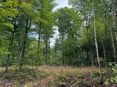 40 Acres On Fr 1769, Cable, WI 54821 photo 42
