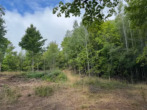 40 Acres On Fr 1769, Cable, WI 54821 photo 19