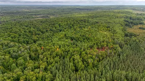 40 Acres On Fr 1769, Cable, WI 54821 photo 10