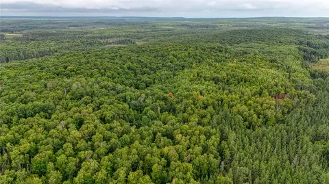 40 Acres On Fr 1769, Cable, WI 54821 photo 11