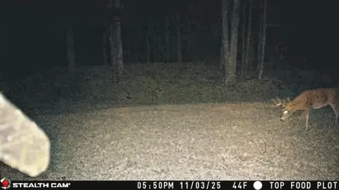 40 Acres On Fr 1769, Cable, WI 54821 photo 28