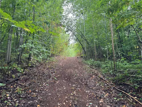 40 Acres On Fr 1769, Cable, WI 54821 photo 41