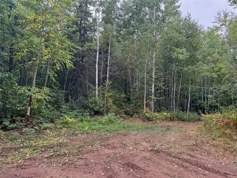40 Acres On Fr 1769, Cable, WI 54821 photo 49