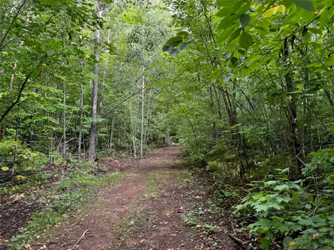 40 Acres On Fr 1769, Cable, WI 54821 photo 30