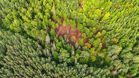 40 Acres On Fr 1769, Cable, WI 54821 photo 32