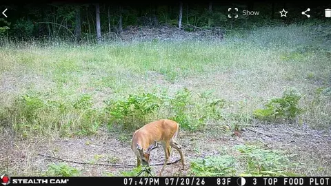 40 Acres On Fr 1769, Cable, WI 54821 photo 34
