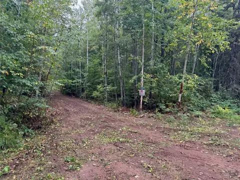 40 Acres On Fr 1769, Cable, WI 54821 photo 21