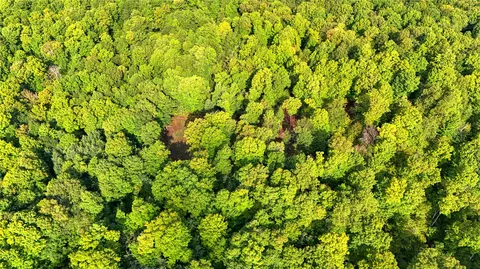 40 Acres On Fr 1769, Cable, WI 54821 photo 35