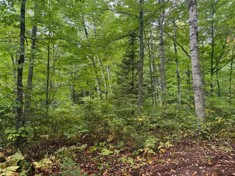 40 Acres On Fr 1769, Cable, WI 54821 photo 46