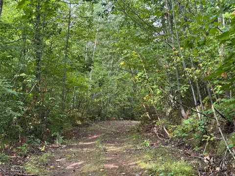 40 Acres On Fr 1769, Cable, WI 54821 photo 33