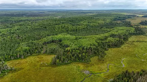 40 Acres On Fr 1769, Cable, WI 54821 photo 2