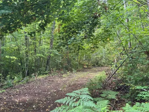 40 Acres On Fr 1769, Cable, WI 54821 photo 27
