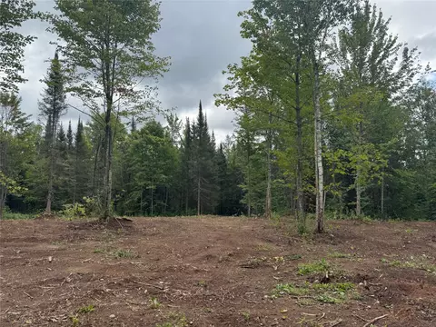 40 Acres On Fr 1769, Cable, WI 54821 photo 8