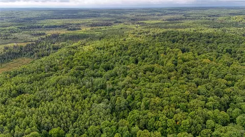 40 Acres On Fr 1769, Cable, WI 54821 photo 52