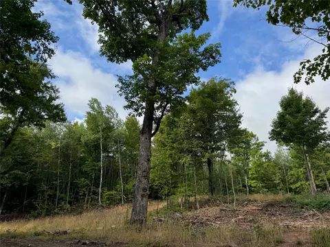 40 Acres On Fr 1769, Cable, WI 54821 photo 18