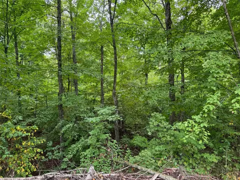 40 Acres On Fr 1769, Cable, WI 54821 photo 43
