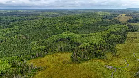 40 Acres On Fr 1769, Cable, WI 54821 photo 23