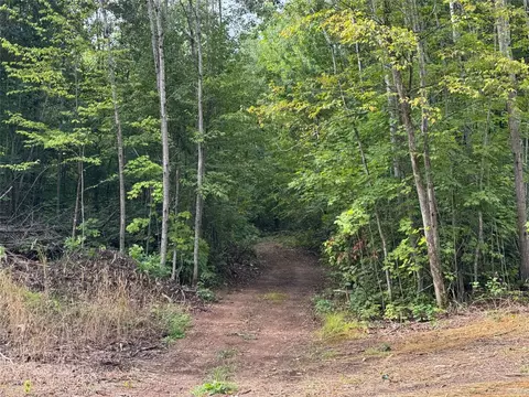 40 Acres On Fr 1769, Cable, WI 54821 photo 24