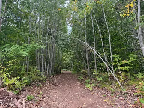 40 Acres On Fr 1769, Cable, WI 54821 photo 47
