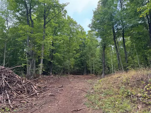 40 Acres On Fr 1769, Cable, WI 54821 photo 38